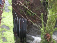 Salmon migration-blocking culvert to be replaced in 2017