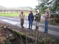 Reviewers examine location for culvert replacement