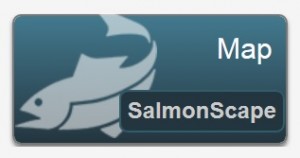 SalmonScape_image