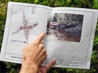 John Wilson, a board member with the Sylvan Terrace Owners Association in Thurston County, displays plans for a new wooden bridge that will extend accross this portion of Michelle Creek near the association's condominium complex. The bridge will replace an existing three-pipe culvert that has impeded migration of the area's native salmon.